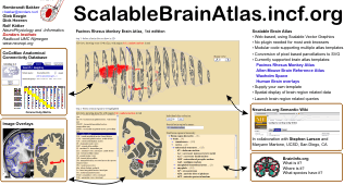 Scalable Brain Atlas SFN 2009 poster